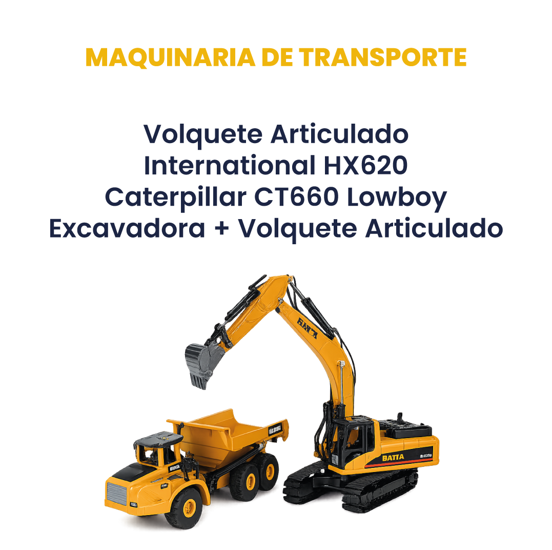 categoria 2